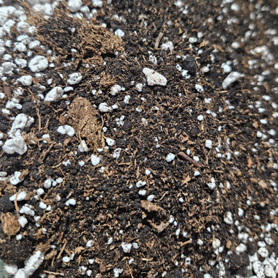 Organic Worm Castings | Jo Jo Farms | Soil Enhancer